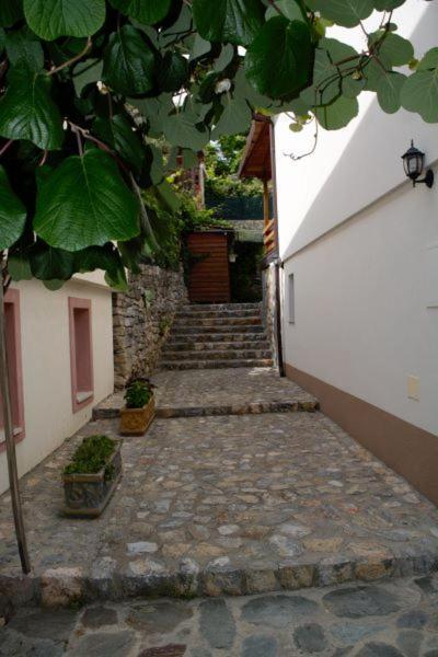 Villa Scandik Οχρίδα Εξωτερικό φωτογραφία